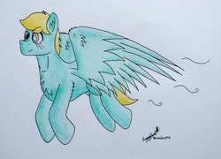 Size: 2002x1440 | Tagged: safe, artist:summerium, oc, oc only, oc:rottsopony, species:pegasus, species:pony, flying, solo, traditional art