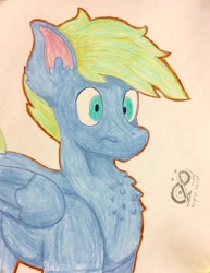 Size: 1434x1862 | Tagged: safe, artist:andandampersand, oc, oc only, oc:screen gazer, species:pegasus, species:pony, simple background, solo, traditional art, white background