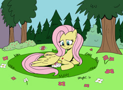 Size: 1024x752 | Tagged: safe, artist:cartoon-eric, character:fluttershy, species:pegasus, species:pony, clearing, covering, crossover, cute, duo, female, flower, flower field, forest, looking at something, looking down, lying down, mare, outdoors, pokémon, pokémon in my little pony, prone, shaymin, smiling, tree, wing covering
