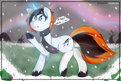 Size: 1280x853 | Tagged: safe, artist:enryuuchan, oc, oc only, species:pony, species:unicorn, clothing, looking up, raised hoof, scarf, snow, snowfall, solo, winter