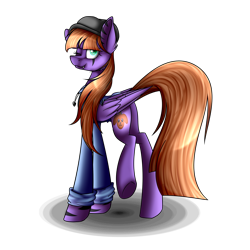 Size: 3500x3500 | Tagged: safe, artist:snowbunny0820, oc, oc only, species:pegasus, species:pony, cap, clothing, female, hat, high res, mare, simple background, solo, transparent background