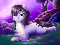 Size: 800x600 | Tagged: safe, artist:faline-art, oc, oc only, species:pony, chest fluff, crossed hooves, female, mare, night, pose, relaxed, relaxing, sky, solo, stars