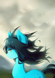 Size: 920x1300 | Tagged: safe, artist:skyeypony, oc, oc only, species:earth pony, species:pony, cloud, cloudy, female, looking at you, mare, signature, solo, windy