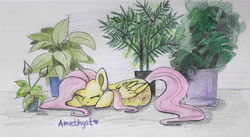 Size: 4987x2731 | Tagged: safe, artist:amy-gamy, character:fluttershy, absurd resolution, eyes closed, female, flower, folded wings, potted plant, prone, sleeping, solo, traditional art