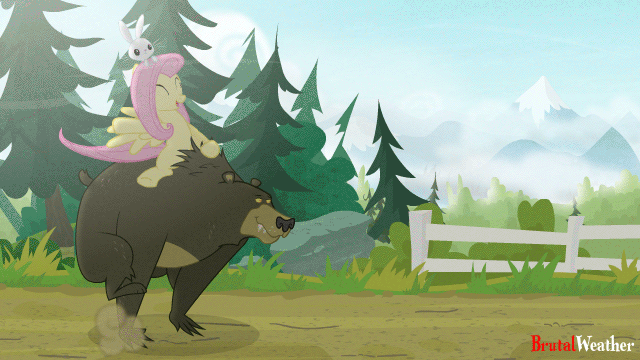 Size: 640x360 | Tagged: safe, artist:brutalweather studio, character:angel bunny, character:fluttershy, character:harry, species:pegasus, species:pony, species:rabbit, animated, bear, cute, eyes closed, female, gif, mare, perfect loop, ponies riding bears, pun, rabbits riding ponies, riding, running, shyabetes, sitting on head, smiling, spread wings, trio, wings