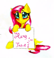 Size: 2481x2699 | Tagged: safe, artist:thatonegib, derpibooru original, edit, character:fluttershy, species:pony, anime eyes, caricature, cute, female, holding sign, lens flare, looking at you, simple background, sitting, solo, sparkly eyes, traditional art, white background