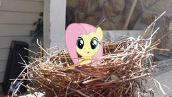 Size: 960x540 | Tagged: safe, artist:takua770, artist:tokkazutara1164, character:fluttershy, species:pony, behaving like a bird, bird nest, cute, irl, photo, ponies in real life, porch, solo, vector, wood