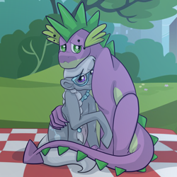 Size: 2048x2048 | Tagged: safe, artist:percy-mcmurphy, character:silver spoon, character:spike, species:dragon, adult, adult spike, female, male, older, older silver spoon, older spike, outdoors, picnic, pregnant, shipping, silverspike, straight