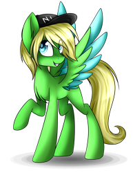 Size: 3276x4176 | Tagged: safe, artist:snowbunny0820, oc, oc only, oc:levi, species:pegasus, species:pony, absurd resolution, cap, clothing, colored wings, hat, high res, male, multicolored wings, raised hoof, simple background, solo, stallion, transparent background