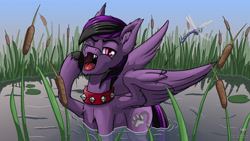 Size: 2000x1125 | Tagged: safe, artist:starbat, oc, oc only, species:pony, collar, commission, dragonfly, fangs, male, pond, solo, spiked collar, stallion, water, yawn