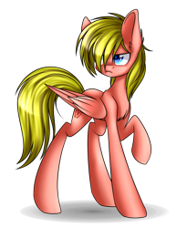 Size: 1600x1955 | Tagged: safe, artist:snowbunny0820, oc, oc only, oc:finn, species:pegasus, species:pony, male, raised hoof, simple background, solo, stallion, transparent background