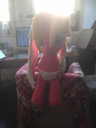 Size: 2448x3264 | Tagged: safe, artist:nazegoreng, oc, oc only, oc:starsweep sweetsky, species:pony, computer, fl studio, irl, looking at you, photo, plushie, speakers, sunshine