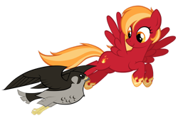 Size: 1024x707 | Tagged: safe, artist:petraea, oc, oc only, oc:blaze gust, species:bird, species:pegasus, species:pony, falcon, female, flying, mare, peregrine falcon, simple background, solo, transparent background, vector