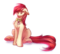Size: 891x807 | Tagged: safe, artist:kerydarling, character:roseluck, species:earth pony, species:pony, chest fluff, collar, digital art, ear fluff, female, floppy ears, fluffy, leg fluff, mare, pet tag, pony pet, rosepet, simple background, sitting, solo, underhoof, white background