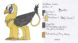 Size: 1783x985 | Tagged: safe, artist:summerium, oc, oc only, oc:gladiolus, species:griffon, lined paper, reference sheet, solo, traditional art