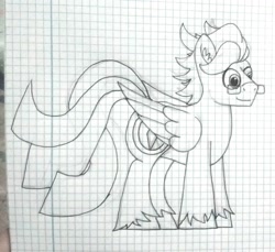 Size: 1574x1440 | Tagged: safe, artist:summerium, oc, oc only, oc:summer lights, species:pegasus, species:pony, glasses, graph paper, lined paper, monochrome, solo, traditional art, unshorn fetlocks