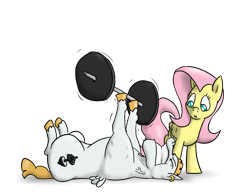Size: 3000x2310 | Tagged: safe, artist:timsplosion, character:bulk biceps, character:fluttershy, ear piercing, earring, fanfic, fanfic art, jewelry, piercing, weight, weight lifting