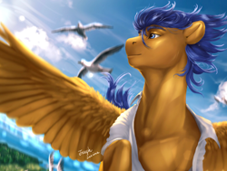 Size: 1628x1232 | Tagged: safe, artist:rossignolet, character:flash sentry, species:bird, species:pegasus, species:pony, species:seagull, clothing, cloud, flash hunktry, flying, male, signature, sky, wavy mane