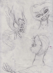 Size: 825x1141 | Tagged: safe, artist:rinioshi, character:lightning dust, character:rainbow dash, species:pegasus, species:pony, duo, female, fight, flying, mare, monochrome, sketch, traditional art