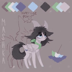 Size: 2000x2000 | Tagged: safe, artist:rinioshi, oc, oc only, species:pegasus, species:pony, clothing, female, mare, reference sheet, scarf, solo