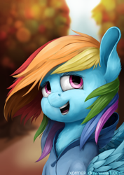 Size: 1024x1448 | Tagged: safe, artist:xormak, character:rainbow dash, species:pegasus, species:pony, autumn, clothing, female, hoodie, mare, path, solo, tree