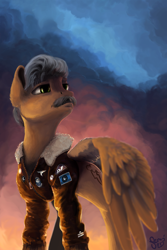 Size: 2000x3000 | Tagged: safe, artist:nemo2d, oc, oc only, oc:radar, species:pegasus, species:pony, fallout equestria, backlighting, cloud, cloudy, dashite, heroic posing, male, patches, sky, solo, stallion