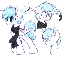 Size: 1400x1400 | Tagged: safe, artist:heddopen, oc, oc only, oc:diamond frost, species:pegasus, species:pony, chest fluff, clothing, confused, ear fluff, facial expressions, floppy ears, male, reference sheet, scarf, simple background, smiling, stallion, white background, wings