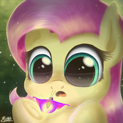 Size: 1500x1500 | Tagged: safe, artist:phoenixrk49, character:fluttershy, species:pegasus, species:pony, amazed, bust, butterfly, cute, female, looking at something, mare, open mouth, portrait, shyabetes, solo, underhoof