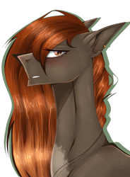 Size: 2500x3388 | Tagged: safe, artist:lastaimin, oc, oc only, species:earth pony, species:pony, bust, female, high res, mare, portrait, simple background, solo, transparent background