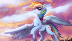 Size: 3200x1800 | Tagged: safe, artist:fidzfox, character:rainbow dash, species:pegasus, species:pony, big wings, chest fluff, cloud, detailed, female, grass, looking at you, looking down, looking down at you, low angle, mare, morning ponies, outdoors, raised hoof, sky, smiling, smirk, smug, solo, spread wings, standing, wallpaper, wings