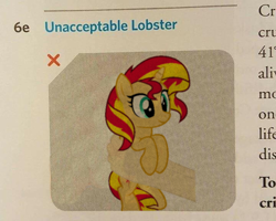 Size: 720x576 | Tagged: safe, artist:justisanimation, artist:uigsyvigvusy, character:sunset shimmer, species:human, species:pony, species:unicorn, caption, context is for the weak, cute, female, hand, holding a pony, illustration, lobster, mare, meme, shimmerbetes, smiling, smol, solo, solo focus, text, unacceptable, wat