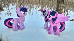 Size: 2048x1152 | Tagged: safe, artist:hihin1993, character:twilight sparkle, character:twilight sparkle (alicorn), species:alicorn, species:pony, forest, irl, japan, multeity, photo, plushie, snow, solo, sparkle sparkle sparkle, triality, trio