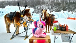 Size: 2048x1152 | Tagged: safe, artist:hihin1993, character:princess cadance, species:pony, horse, horse-pony interaction, irl, irl horse, japan, photo, plushie, snow, solo, teen princess cadance
