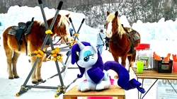 Size: 2189x1227 | Tagged: safe, artist:hihin1993, character:rarity, species:pony, horse, horse-pony interaction, irl, irl horse, japan, photo, plushie, snow
