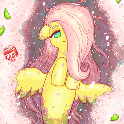 Size: 2067x2067 | Tagged: safe, artist:sigpi, character:fluttershy, species:seapony (g4), cherry blossoms, coke, female, flower, flower blossom, hair over one eye, leaves, looking at you, mermaid, mermaidized, merpony, open mouth, seaponified, seapony fluttershy, soda, soda can, solo, species swap, spread wings, spring, water, wings