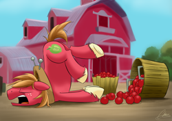 Size: 3925x2783 | Tagged: safe, artist:oinktweetstudios, character:big mcintosh, species:earth pony, species:pony, episode:going to seed, g4, my little pony: friendship is magic, apple, barn, basket, cute, food, macabetes, male, silly, silly pony, sleeping, snoring, solo, stallion, sweet apple acres