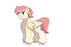 Size: 1280x854 | Tagged: safe, artist:itstechtock, oc, oc:luminaire, parent:coco pommel, parent:kerfuffle, species:pegasus, species:pony, magical lesbian spawn, male, offspring, simple background, solo, stallion, transparent background