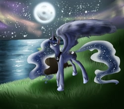 Size: 2500x2200 | Tagged: safe, artist:dream--chan, character:princess luna, species:alicorn, species:pony, female, grass, high res, mare, moon, night, solo, water