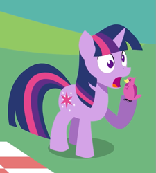 Size: 719x799 | Tagged: safe, artist:viva reverie, character:twilight sparkle, species:bird, species:pony, species:unicorn, brony polka, derp, female, mare, open mouth, twilight eats a bird