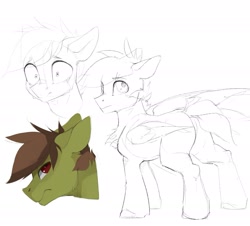 Size: 1961x1775 | Tagged: safe, artist:tangomangoes, oc, oc only, oc:olive hue, species:pegasus, species:pony, bust, sketch, solo