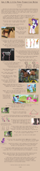 Size: 896x3816 | Tagged: safe, artist:pix3m, edit, edited screencap, screencap, character:pinkie pie, character:rainbow dash, character:rarity, character:twilight sparkle, anatomy guide, photo, text, tutorial