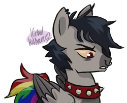 Size: 1080x875 | Tagged: safe, artist:virtualkidavenue, oc, oc only, species:pegasus, species:pony, collar, male, nose piercing, nose ring, piercing, rainbow tail, simple background, solo, spiked collar, stallion, white background