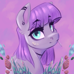Size: 6000x6000 | Tagged: safe, artist:faline-art, character:maud pie, species:earth pony, species:pony, bandage, ear piercing, earring, female, jewelry, looking at you, mare, piercing, solo