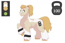 Size: 1280x854 | Tagged: safe, artist:itstechtock, oc, oc:kettlebell, parent:bulk biceps, parent:limestone pie, parents:limebulk, species:earth pony, species:pony, female, mare, offspring, reference sheet, simple background, solo, unshorn fetlocks, white background