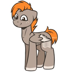 Size: 2000x2000 | Tagged: safe, artist:jellysiek, oc, oc:carmel, species:pegasus, species:pony, cute, male, simple background, smiley face, smiling, solo, stallion