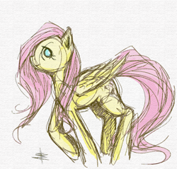 Size: 898x859 | Tagged: safe, artist:tt-n, character:fluttershy, species:pegasus, species:pony, colored sketch, female, looking at you, mare, profile, sketch, smiling, solo, wings