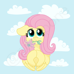 Size: 4000x4000 | Tagged: safe, artist:pink-pone, character:fluttershy, species:pegasus, species:pony, g4, beautiful, bust, cloud, cute, female, floppy ears, flower, flower in mouth, full face view, hooves together, looking at you, mare, mouth hold, portrait, shyabetes, sky background, smiling, smiling at you, solo, wings