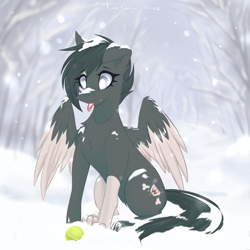 Size: 3000x3000 | Tagged: safe, artist:taleriko, rcf community, oc, oc only, oc:lacy, species:dog, species:pegasus, species:pony, g4, ball, commission, cute, dog pony, female, mare, original species, snow, solo, tennis ball, wings, winter