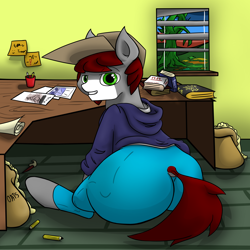 Size: 1920x1920 | Tagged: safe, artist:khaki-cap, commissioner:bigonionbean, oc, oc:khaki-cap, species:earth pony, species:pony, g4, bags, book, brush, butt, cap, clothing, commission, dummy thicc, earth pony oc, extra thicc, food, hat, inside, kinky, large butt, looking at you, looking back, looking back at you, male, oats, paper, pencil, rear, rear view, scroll, sketch, smug, stallion, sticky notes, thicc ass, window, ych example, ych result, your character here