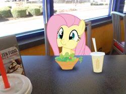 Size: 2048x1536 | Tagged: safe, artist:tokkazutara1164, character:fluttershy, burger king, eating, female, food, lunch, ponies in real life, restaurant, solo, vector
